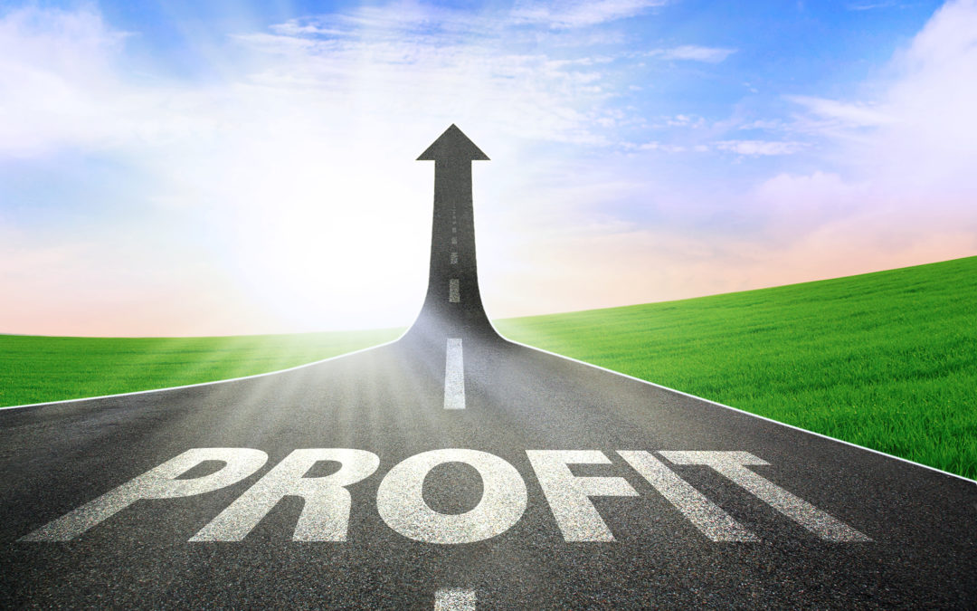 The Power Of The Profit Paradox – 2/20