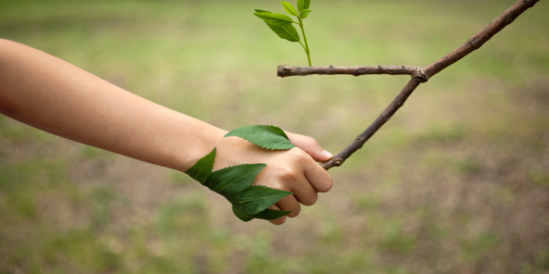 7 Ways to Treat the Environment as a Stakeholder in Your Business